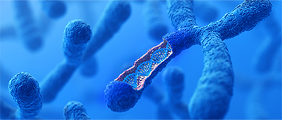 Mutation Modeling Studies