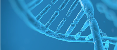 Functional Screening and Genomics Research