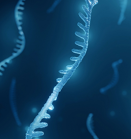RNA